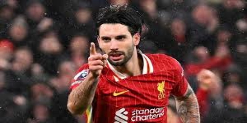 专家视角与战术反思 — 中欧体育