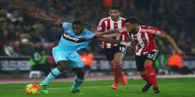 观点：圣徒能否直通英超？- 中欧体育