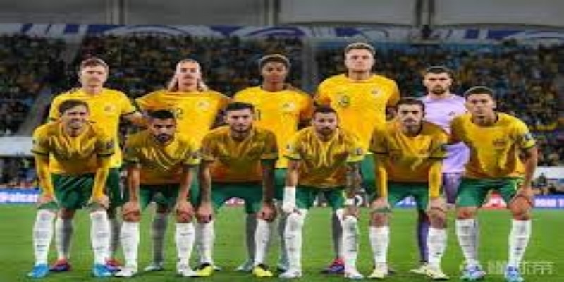 战术分析与专家点评- 中欧体育