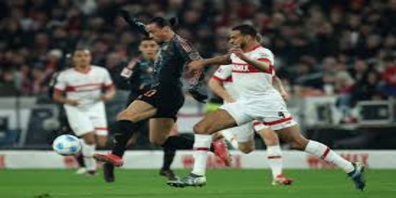 教练声音：两种截然不同的情绪对比-中欧体育