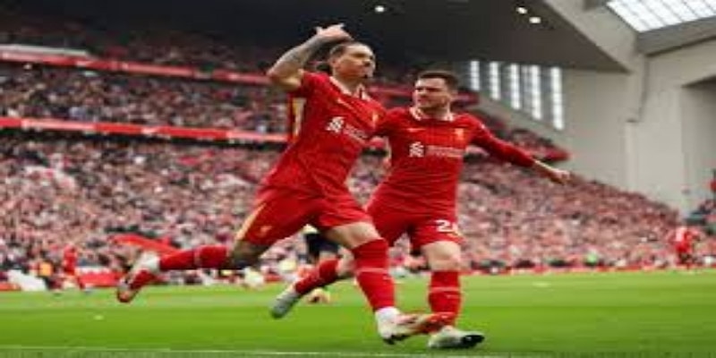 红军中场革命：中欧体育深度拆解- 中欧体育