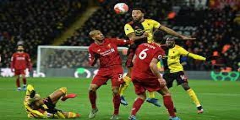 赛季回顾与未来展望-中欧体育